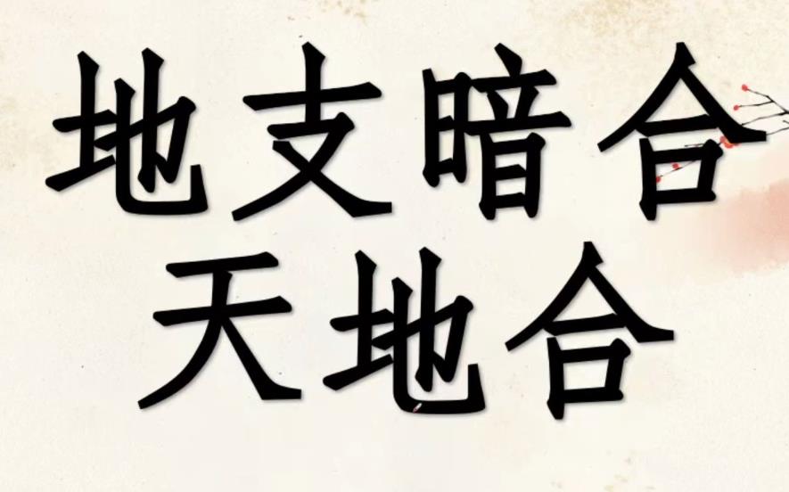 八字合多代表什么