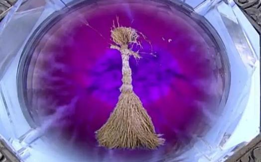 八字神煞扫把星详解