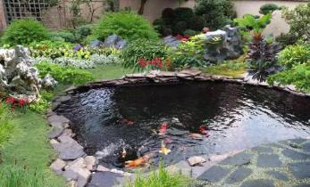 招财运的庭院风水布局