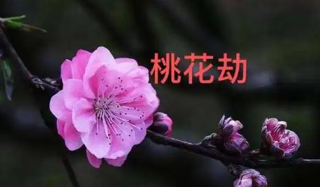 判断八字桃花煞的技巧