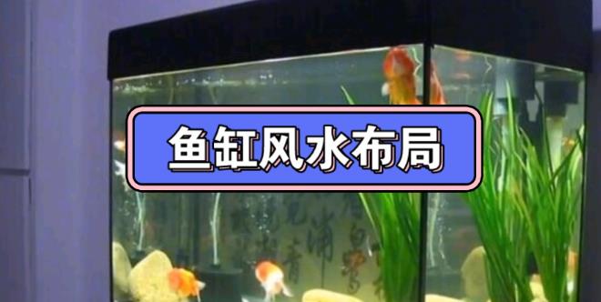 住宅鱼缸催财风水方法