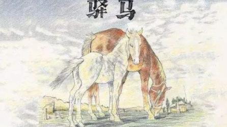 大运驿马星的影响