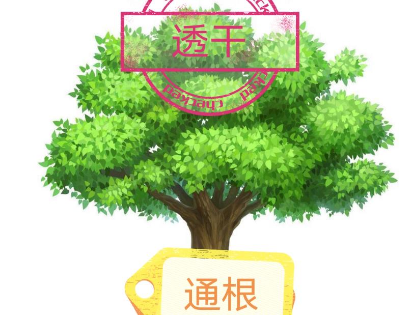 八字通根好不好