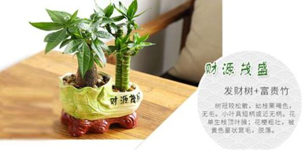 360截图20250126195056811.jpg 360截图20250126195056811.jpg