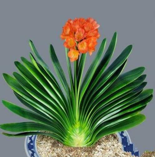 360截图20250126195208322.jpg 360截图20250126195208322.jpg