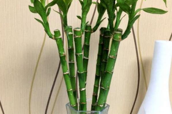 360截图20250126195241966.jpg 360截图20250126195241966.jpg