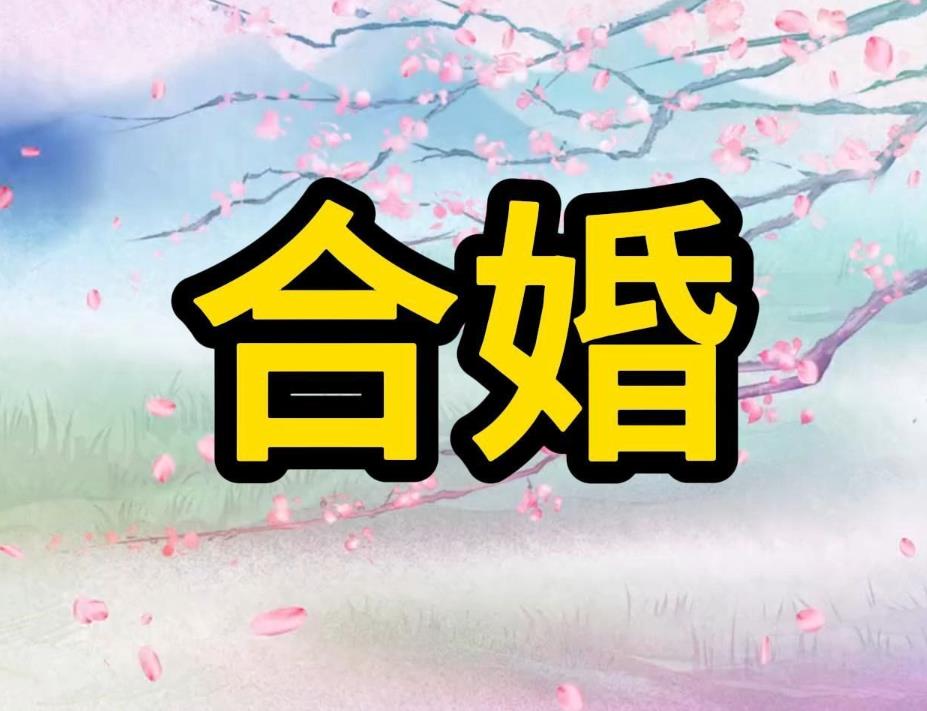 八字合婚有必要吗