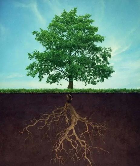 八字财无根代表什么意思