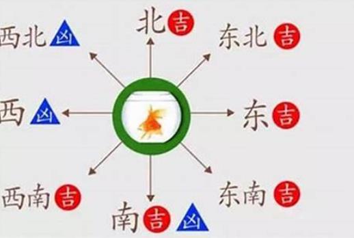 住宅玄关摆放鱼缸风水禁忌