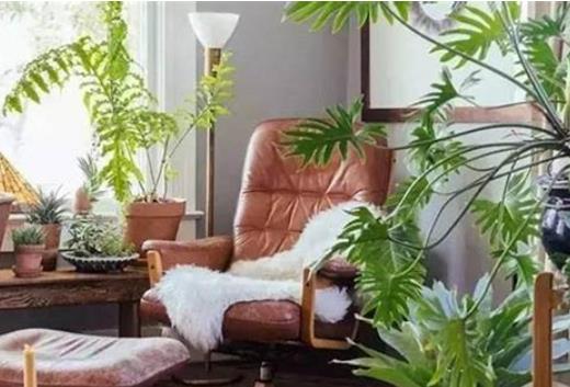 360截图20250216071337385.jpg 360截图20250216071337385.jpg