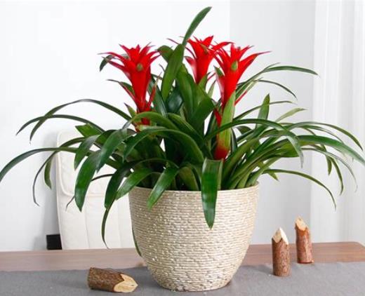 360截图20250216072424109.jpg 360截图20250216072424109.jpg