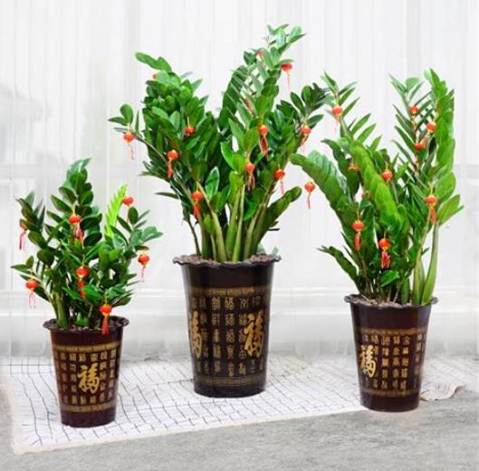 360截图20250216072513648.jpg 360截图20250216072513648.jpg