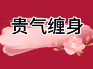 八字有贵气如何理解