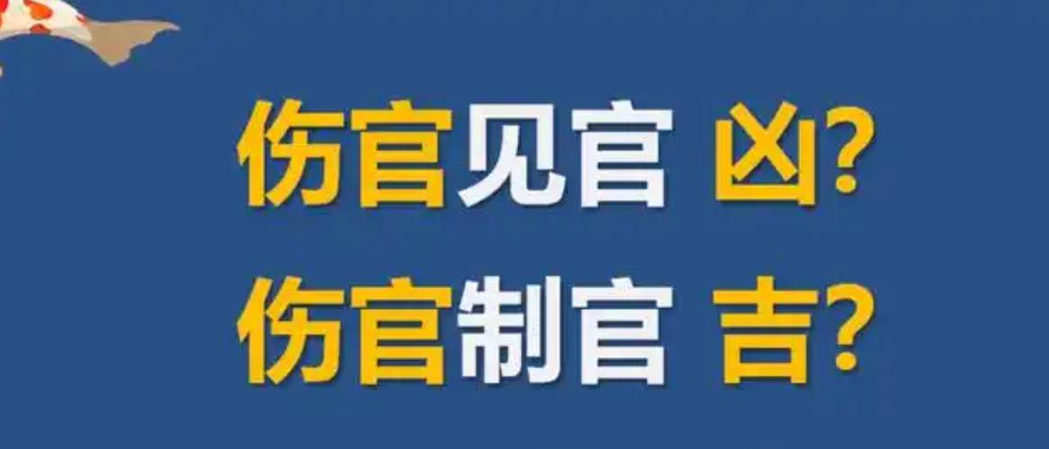 伤官制官的八字好吗