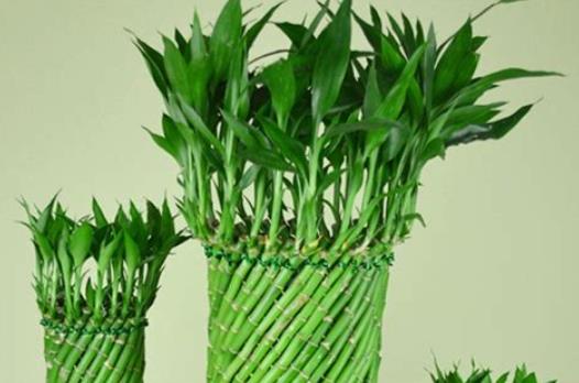 360截图20250224080440213.jpg 360截图20250224080440213.jpg