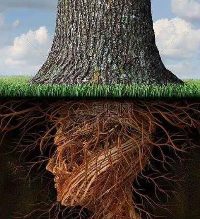 八字日元无根命好吗