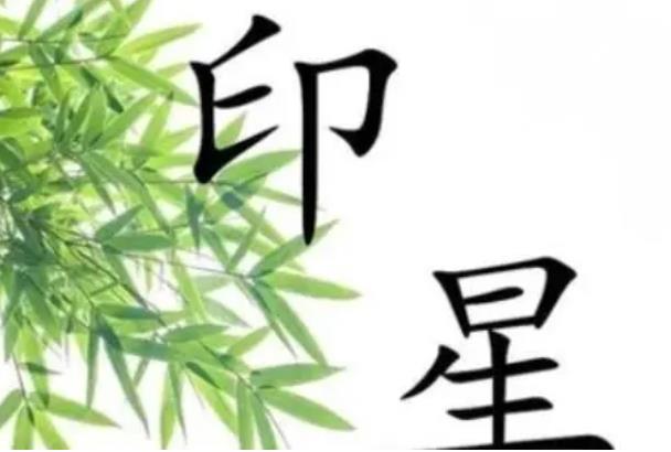 印星过旺的八字