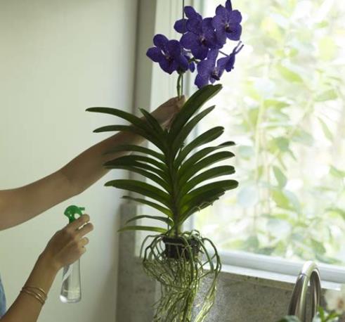 360截图20250327174344810.jpg 360截图20250327174344810.jpg