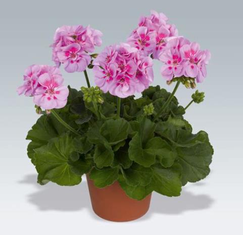 360截图20250327174413111.jpg 360截图20250327174413111.jpg