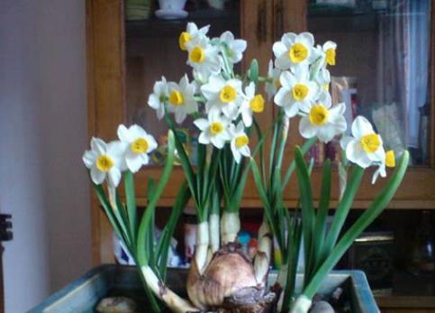 360截图20250327174511593.jpg 360截图20250327174511593.jpg