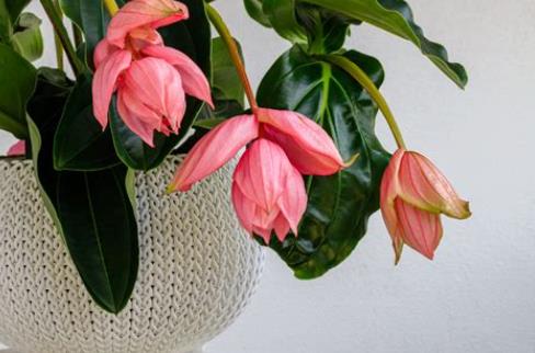 360截图20250327174540817.jpg 360截图20250327174540817.jpg