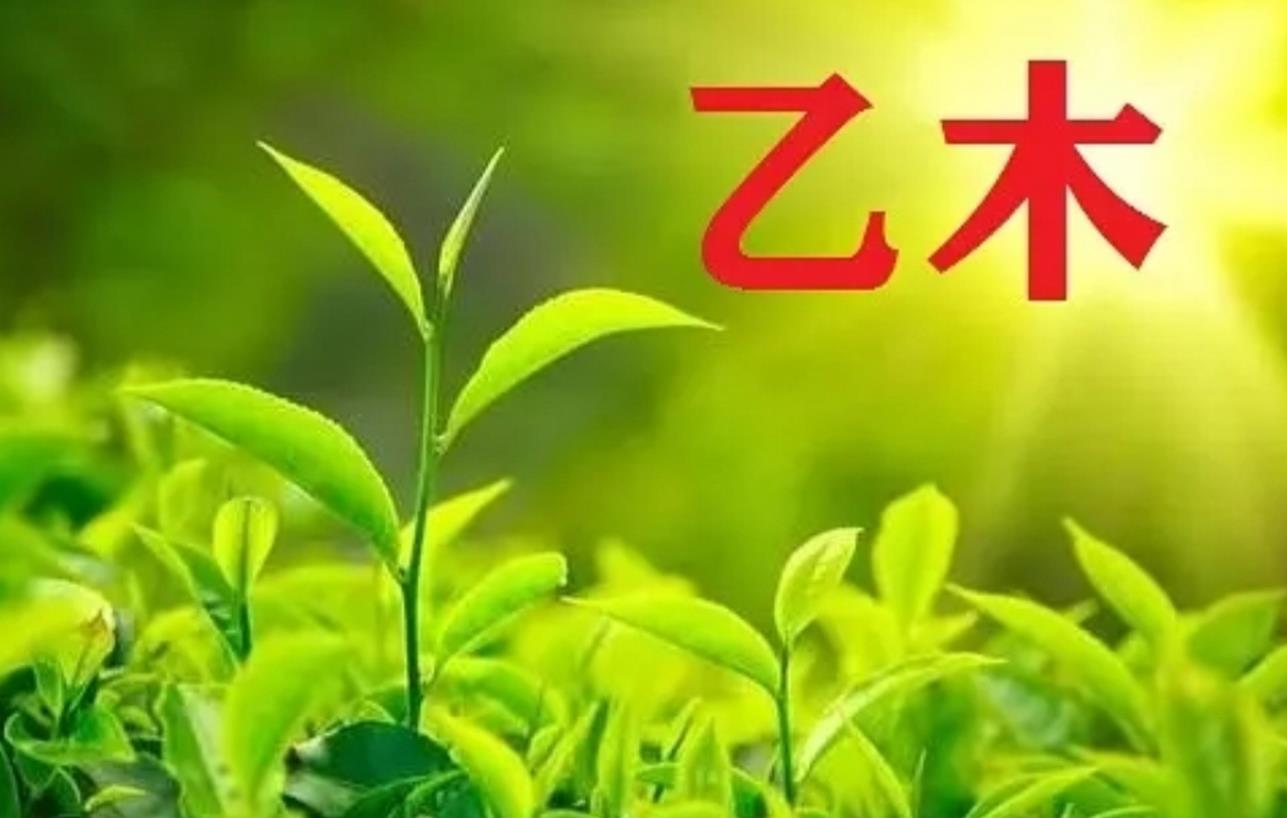 乙木日元的人喜忌如何看