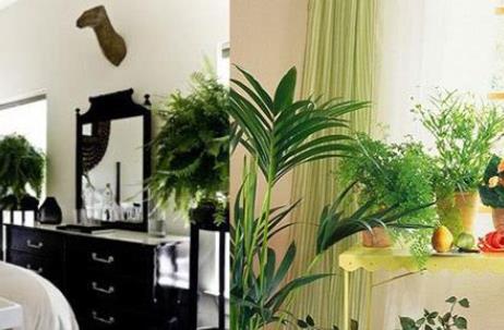 住宅如何布局风水聚财