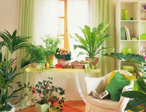 360截图20250427184628980.jpg 360截图20250427184628980.jpg