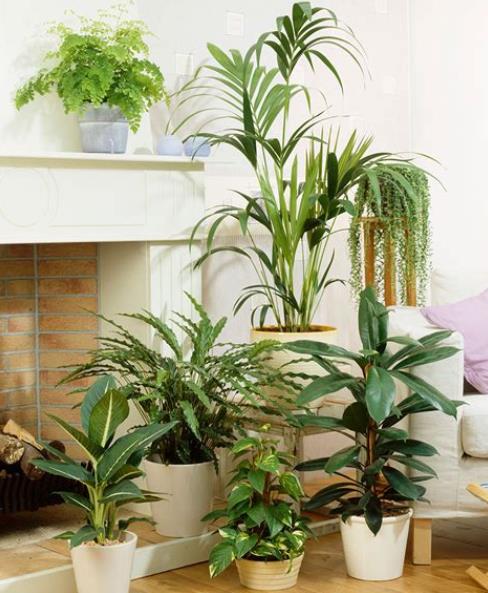 360截图20250503143651988.jpg 360截图20250503143651988.jpg