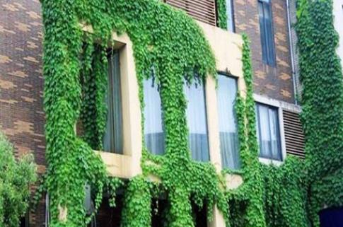 360截图20250506095916815.jpg 360截图20250506095916815.jpg