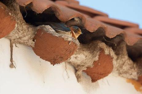 360截图20250507094620664.jpg 360截图20250507094620664.jpg