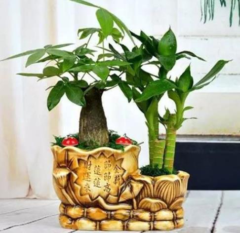 360截图20250507094850185.jpg 360截图20250507094850185.jpg