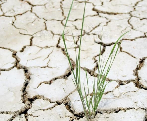 太燥的八字有何影响，如何调整化解