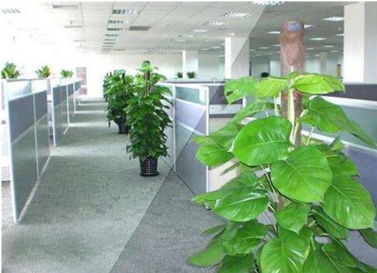 360截图20250522105604466.jpg 360截图20250522105604466.jpg