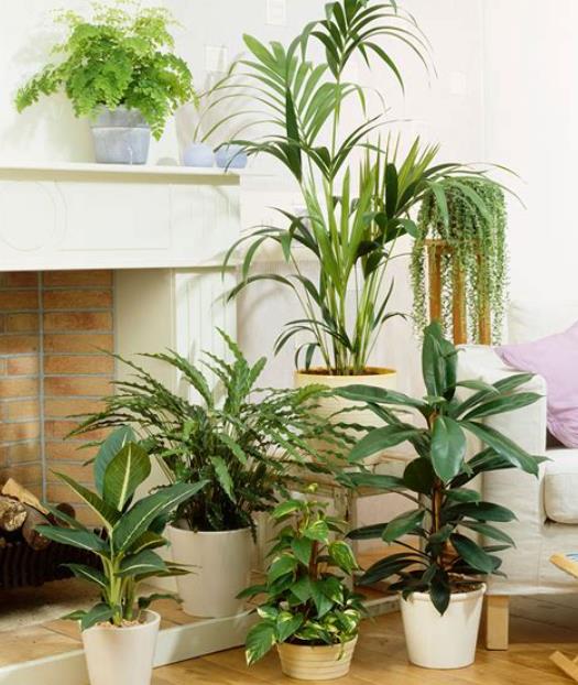 360截图20250526093605770.jpg 360截图20250526093605770.jpg