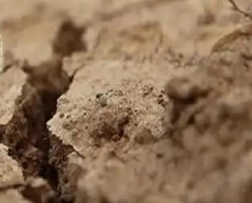 燥八字有哪些影响