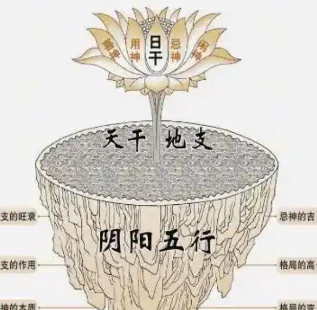 格局层次低的八字特征