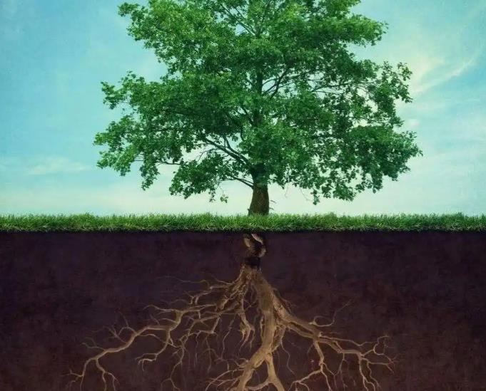 八字无根不能发财吗