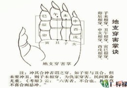 八字地支相害取象大全