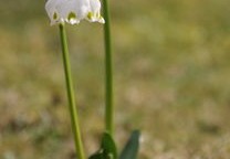 一辈子不缺钱花的八字（一辈子不缺钱花的八字短句）