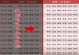 八字中旺弱是怎么看出来的