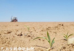 八字看流年应事（八字看流年应事怎么看）