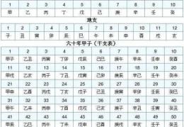 四柱基础：十天干十二地支知识详解大全