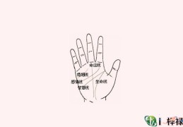 手相：命运线是哪条线