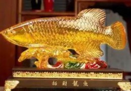 财运亨通的客厅布局要点