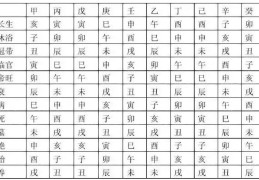 五行寄生十二宫什么意思