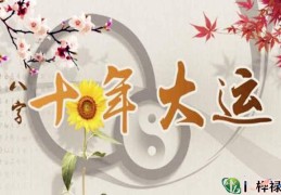 八字大运看法详解大全