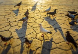 命带孤鸾的人的性格