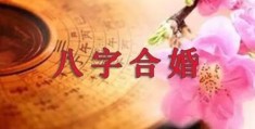 男女八字合婚都看什么