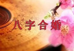 男女八字合婚都看什么
